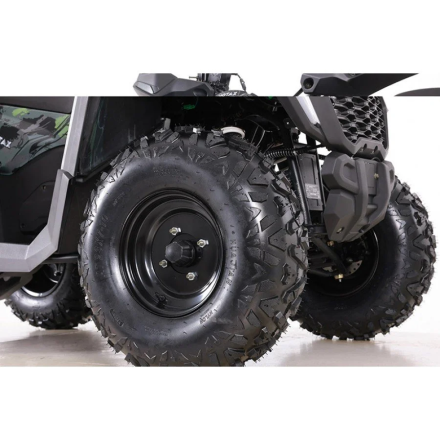 Квадроцикл MOTAX ATV Grizlik T 250 Basic