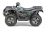 Квадроцикл СТЕЛС ATV 600 Y Leopard (ПСМ)