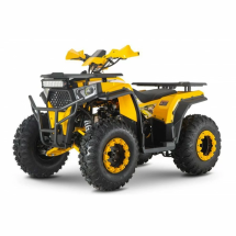 Квадроцикл WELS ATV Thunder Trail 200