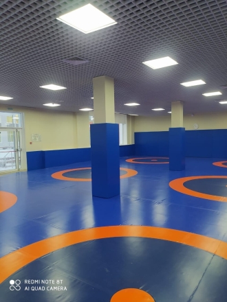 Ковёр борцовский 12х12х0,04 м, эквивалентно пл.140 кг/м3 (НПЭ, трёхцветный) СТП-91