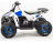 Квадроцикл MZ Eagle 110