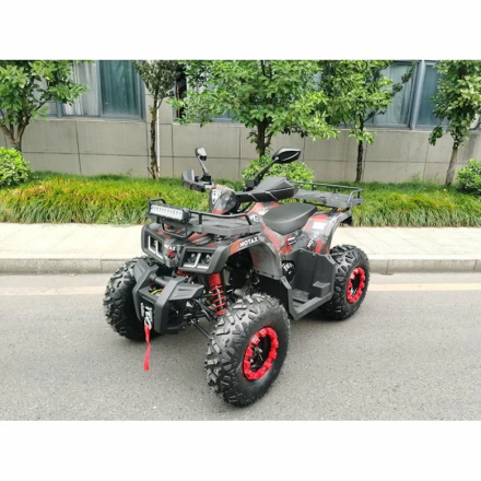 Квадроцикл MOTAX ATV Grizlik T200 Lux