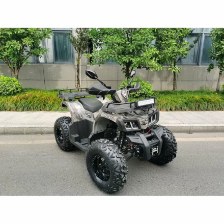Квадроцикл MOTAX ATV Grizlik T200 Lux