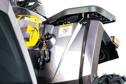 Квадроцикл MOTOLAND 200 Wild Track X Pro (2022)