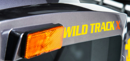 Квадроцикл MOTOLAND 200 Wild Track X Pro (2022)