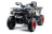 Квадроцикл MOTOLAND 200 Wild Track X Pro (2022)