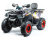 Квадроцикл MOTOLAND 200 Wild Track X Pro (2022)