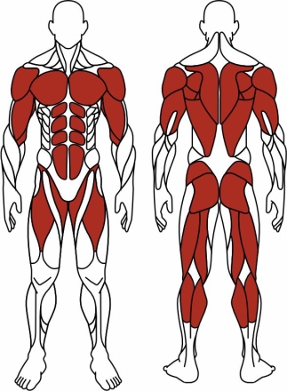 Наездник (зеленый) - Уличный тренажер - СТ 033-12.П 