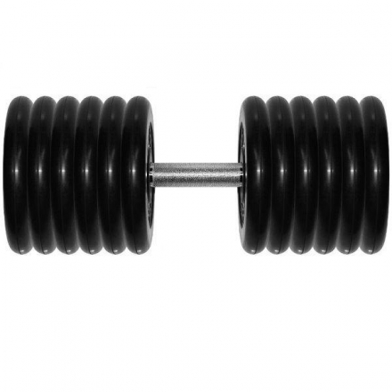 Гантель Barbell 61 кг профи