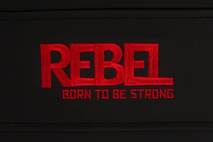 Скамья универсальная REBEL B9