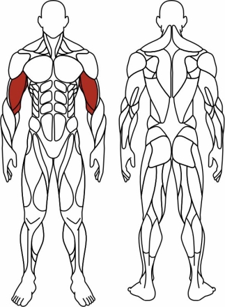 Бицепс сидя (красный) - Уличный тренажер - СТ 034-11.И1