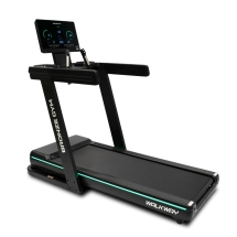 Беговая дорожка BRONZE GYM WALKWAY