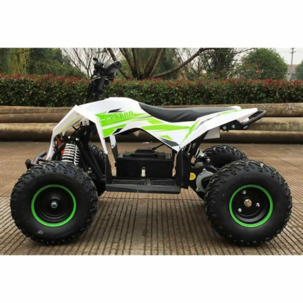 Квадроцикл MOTAX GEKKON 1300W