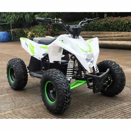 Квадроцикл MOTAX GEKKON 1300W