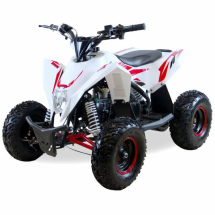 Квадроцикл MOTAX GEKKON 90cc