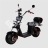 Электроскутер Citycoco SkyBoard BR20-3000 PRO