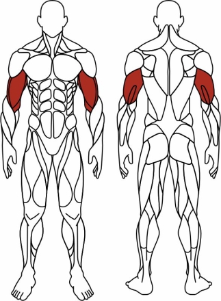 Бицепс стоя (зеленый) - Уличный тренажер - СТ 035-12.И1