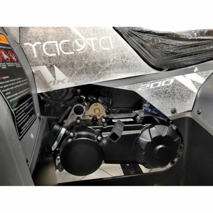 Квадроцикл YACOTA VIKING 200 PRO