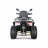 Квадроцикл YACOTA VIKING 200 PRO
