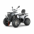 Квадроцикл YACOTA VIKING 200 PRO