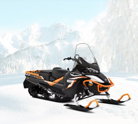 59 Ranger Alpine 900 ACE