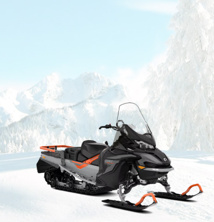 59 Ranger Pro 600 ACE