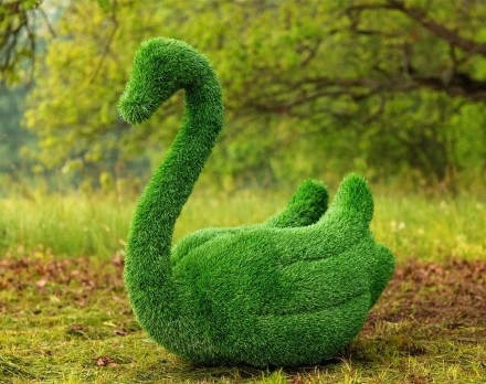 Топиари два лебедя Чепелия - газон Eco Green