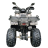 Квадроцикл GRIZLIK T200 LUX