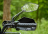 Квадроцикл SHARMAX 280 RX Activator