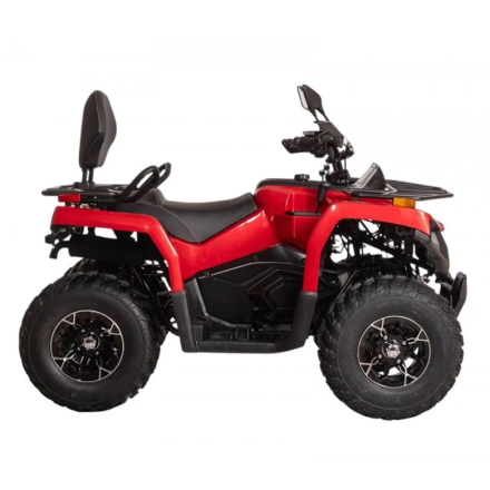 Квадроцикл Bizon YK250 Lux EFI