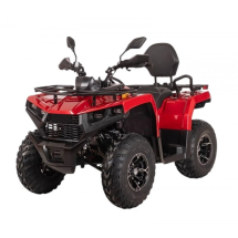 Квадроцикл Bizon YK250 Lux EFI
