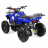 Квадроцикл MOTAX Mini Grizlik X-16 (э/с)