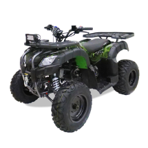 Квадроцикл Motax ATV Grizlik 200cc LUX