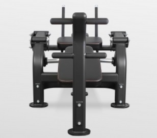 BRONZE GYM PL-1720 Пресс-скамья