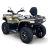 Квадроцикл Bizon YK450A