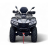 Квадроцикл Bizon YK450A