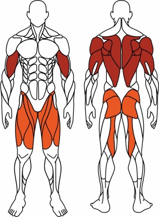 Жим ногами + жим от груди (серый) - Уличный тренажер - СТ 037-13