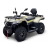 Квадроцикл Bizon YK450AL EPS