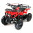 Квадроцикл MOTAX ATV Mini Grizlik X-16