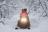 Снегоход AODES Snowcross 1000 WT