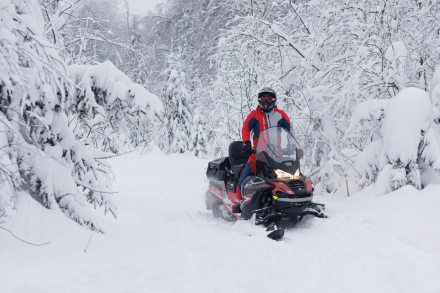 Снегоход AODES Snowcross 1000 WT