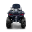 Квадроцикл Bizon ZX350