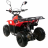 Квадроцикл MOTAX MIKRO 110 cc