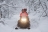 Снегоход AODES Snowcross 1000 SWT LTS