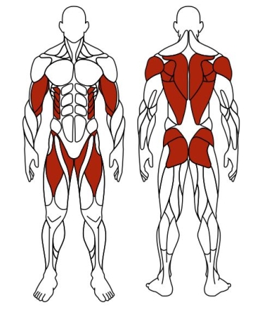 Гребля (красный) - Уличный тренажер - СТ 008-11.П