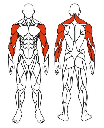 Рули (положение сидя) серый - Уличный тренажер - СТ 102-13