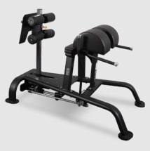 BRONZE GYM BR-1018 Скамья для ягодиц и бедер