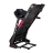 Беговая дорожка DFC ASCONA Pro T640 
