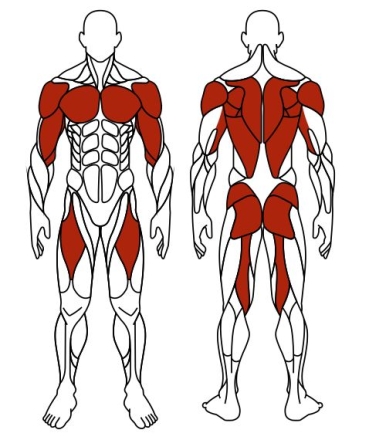 Двойные лыжи (серый) - Уличный тренажер - СТ 009-13.И1