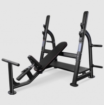 BRONZE GYM BR-1014 Скамья для жима наклонная